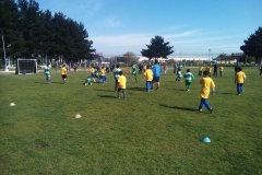 14449048_10210802705002393_6208645168363386222_n