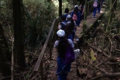 22782357_1439746036139177_1846912590_n