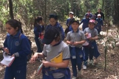 22809716_1439746182805829_1278700053_n