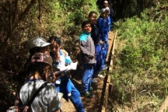 22834317_1439746209472493_1107978348_n