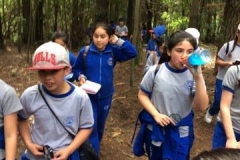 22834398_1439746256139155_547740618_n