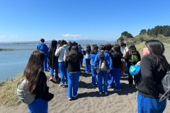 IMG-20231024-WA0008 IMG-20231024-WA0008