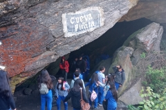 IMG_20231024_115008_029 IMG_20231024_115008_029